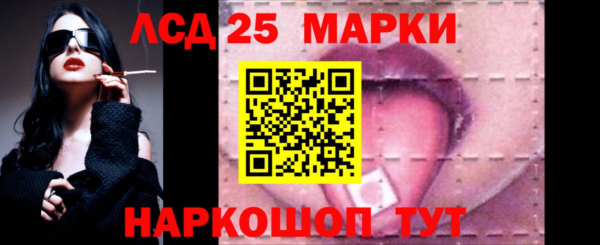 МЕФ Киров