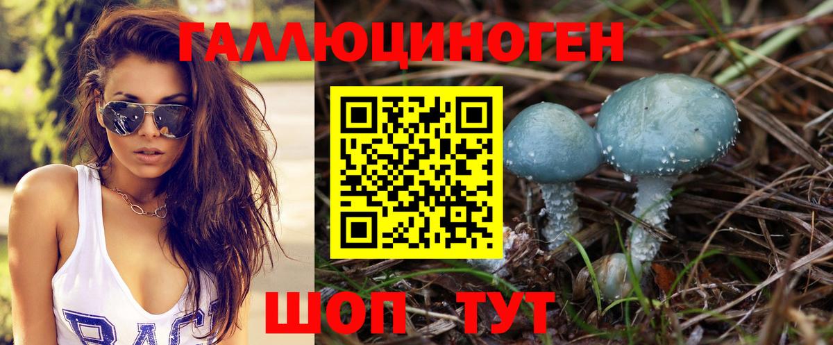 Галлюциногенные грибы Cubensis Киров